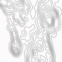 Topographic map. Black lines on white background. Contour abstract background. Vector illustration.