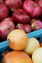 Fresh onion for cooking at street food