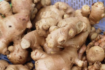 Ginger root for cooking in the market.