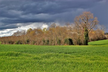 Fototapeta premium ciel nuageux.