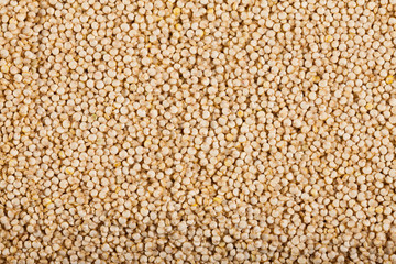 Quinoa seeds as background