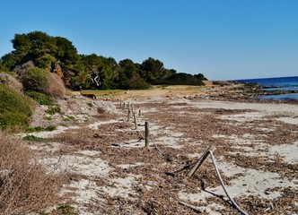 K&uuml;stenlandschaft Ostk&uuml;ste Mallorca