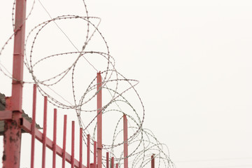 barbed wire on a metal fence,fencing dangerous object
