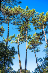 paysage de la côte de charente maritime