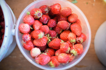 Harvest of red fresh strawberry in glassful from above