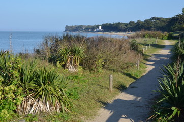 Plage du Vieil, Noirmoutier en île, France