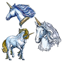 Unicorn isolated on white background. Fairy-tale character.