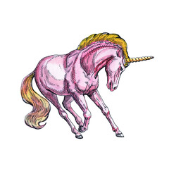 Unicorn isolated on white background. Fairy-tale character.