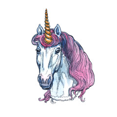 Unicorn isolated on white background. Fairy-tale character.