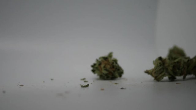 Cannabis Bl&uuml;ten, Master Kush, Nahaufnahme, Weed