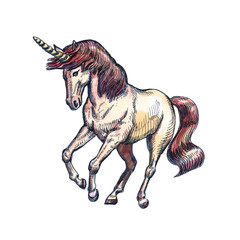 Unicorn isolated on white background. Fairy-tale character.