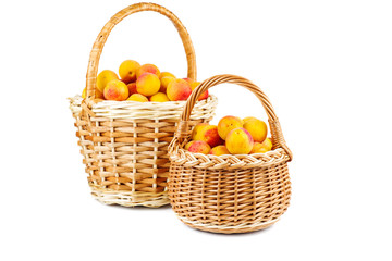 Fresh apricots in wicker baskets isolated on white background