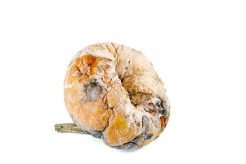 Rotten pumpkin isolated on white background