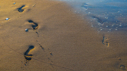 Footprints in the sand during sunrise, Finike Antalya, Turkey.