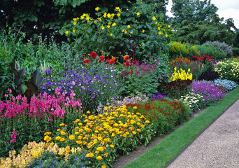Blocks of colour with mixed planting in a long sunny border in a country garden