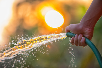 hand holding rubber water hose,Man watering the garden,Water splashes on Natural background,