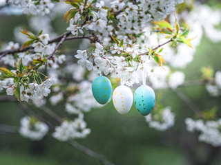 Blooming apple tree decorated with colorful Easter eggs.