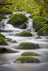 Kennal vale cornwall england uk 