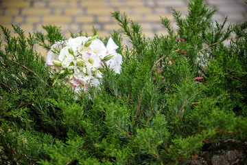 wedding bouquet on a green bush. fresh different summer flowers closeup.