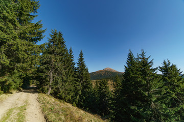 Landscape of Mount Hoverla is the highest mountain of the Ukrainian Carpathian Mountains, Chornohora