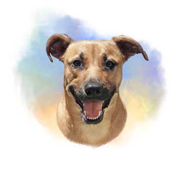 Watercolor Portrait of a cute dog with a friendly smile. Animal collection: Dogs. Hand Painted Illustration of Pets. Art background for banner, cover, card, pillow. Design template