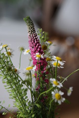 Frühlingsstrauß | Blumenstrauß im Frühling
