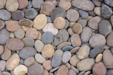 ​View of round pebble background textture.
