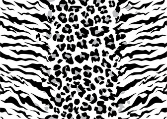 leopard tiger jaguar texture abstract background orange black. Vector jungle. Bengal cat. white tiger. stripe