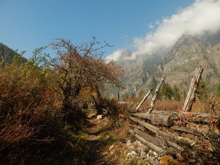 Autumn road on mountain side