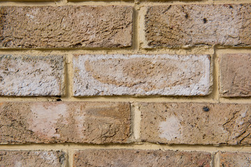 Brick wall. Natural background.