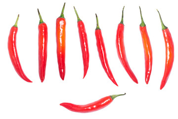 Green & Red chilli peppers on white background