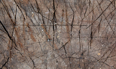 Wooden natural brown background with scars and patterns. Wooden slats. Burned Tree