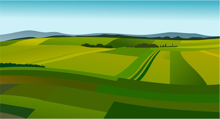 Rural landscape with green fields