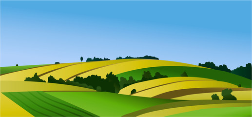 Rural landscape with green fields