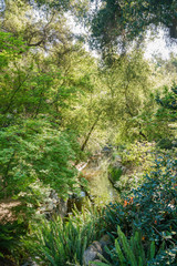 Obraz premium Beautiful garden of Descanso Garden