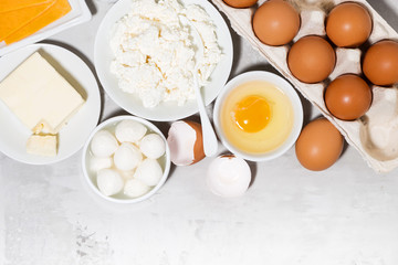 assortment of fresh farm dairy products, top view