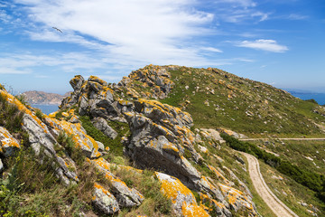 Archipelago Cies, Spain. The road among the rocks on the island of Faro