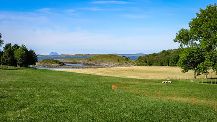 Fototapeta premium Fields and pastures near the fjords of Norway