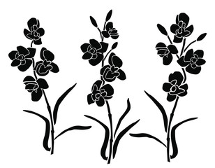 Fototapeta premium Collection of silhouettes of flowers, orchid, different branches, blossom, vector, black color, isolated on white background