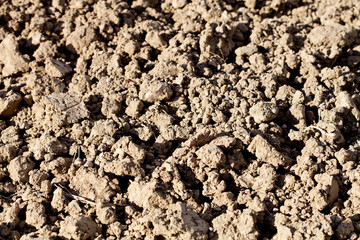 Soil texture background