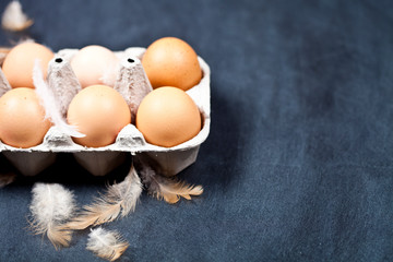 Farm chicken eggs in cardboard container and feathers.