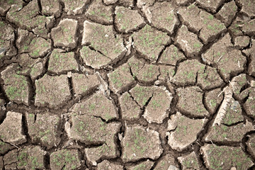 Cracked soil texture wall background