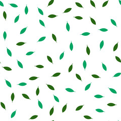Seamless vector Pattern with different leaves. Floral decoration.