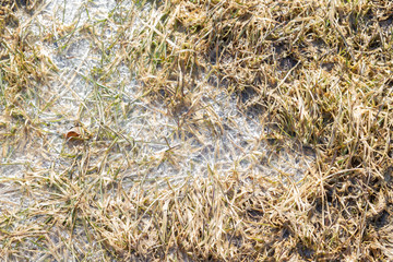 Spring flood carries the snow and turns into a puddle outside the city