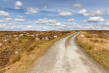 Farm road in a bog with typical vegetation and rocks