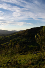 landscape in the mountains