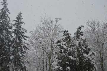 Winterlandschaft