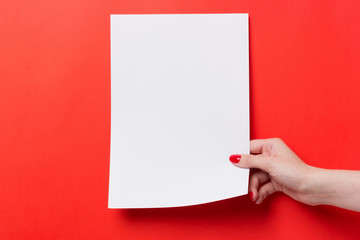 Woman hands holding a white a blank A4 paper on a red background