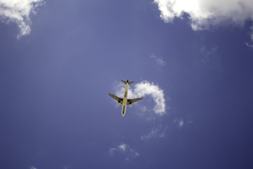 Fototapeta na wymiar Airplane in sky