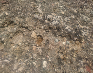 texture of sand